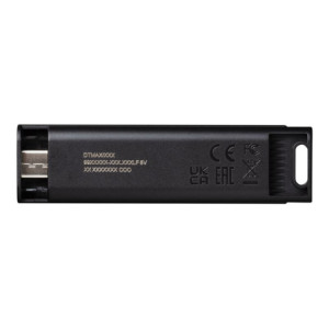 KINGSTON 256Go USB3.2 Gen 2 DataTraveler
