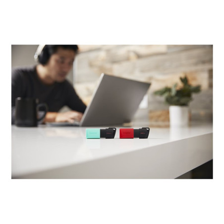 KINGSTON 256Go DataTraveler Exodia M