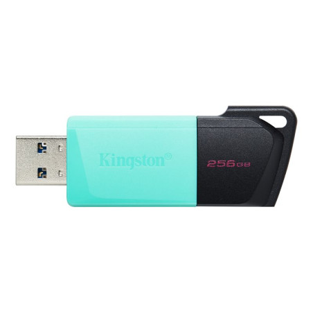 KINGSTON 256Go DataTraveler Exodia M