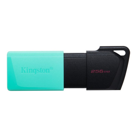 KINGSTON 256Go DataTraveler Exodia M