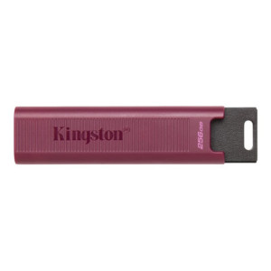 KINGSTON 256Go USB3.2 TypeA DataTraveler