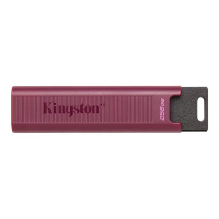 KINGSTON 256Go USB3.2 TypeA DataTraveler