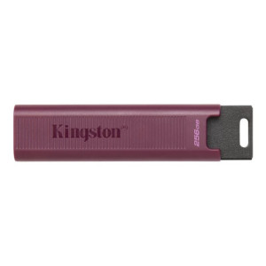 KINGSTON 1To USB3.2 TypeA DataTraveler