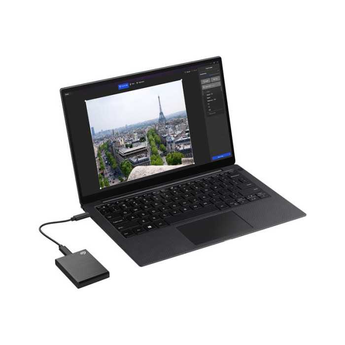 SEAGATE One Touch SSD 1To USB-C Silver